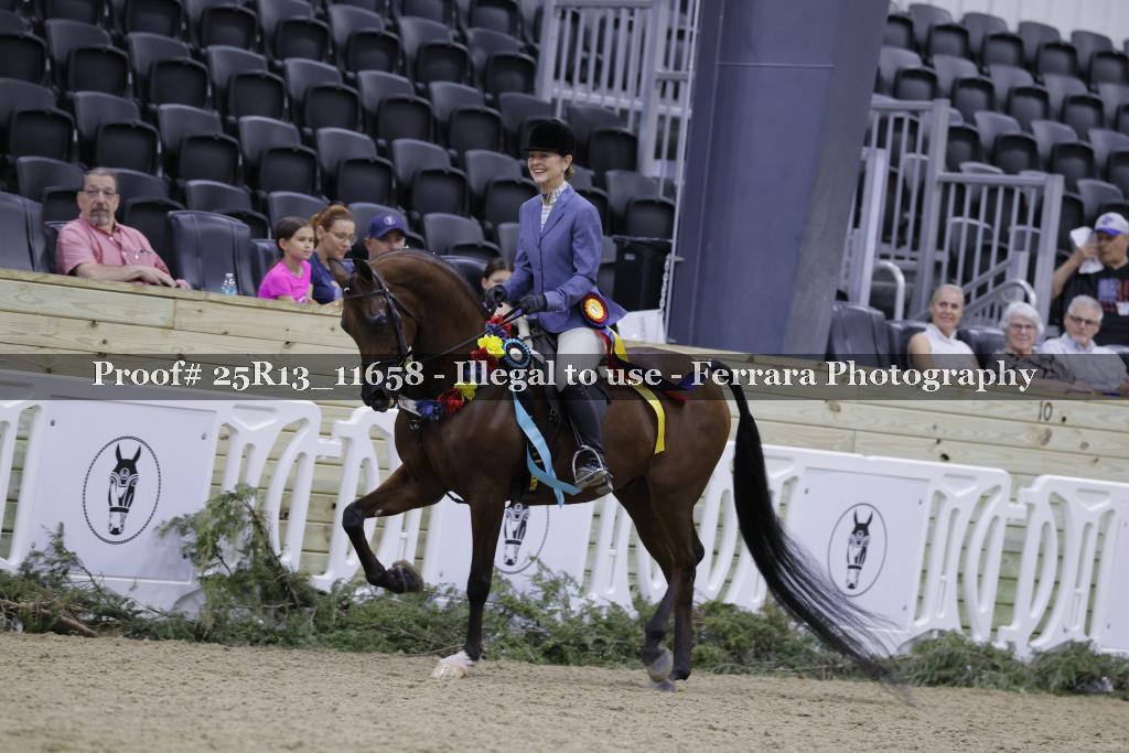 Proof Number 25R13_11658