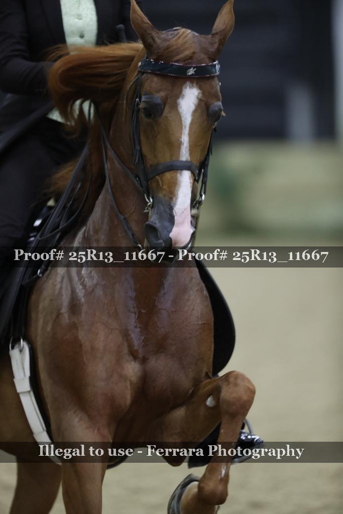 Proof Number 25R13_11667