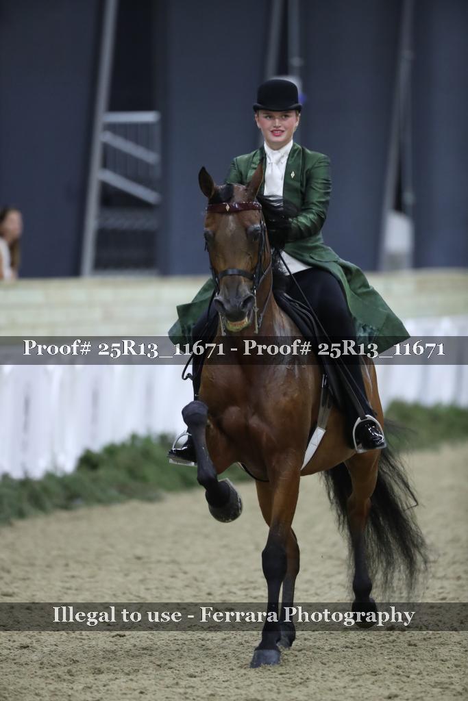 Proof Number 25R13_11671