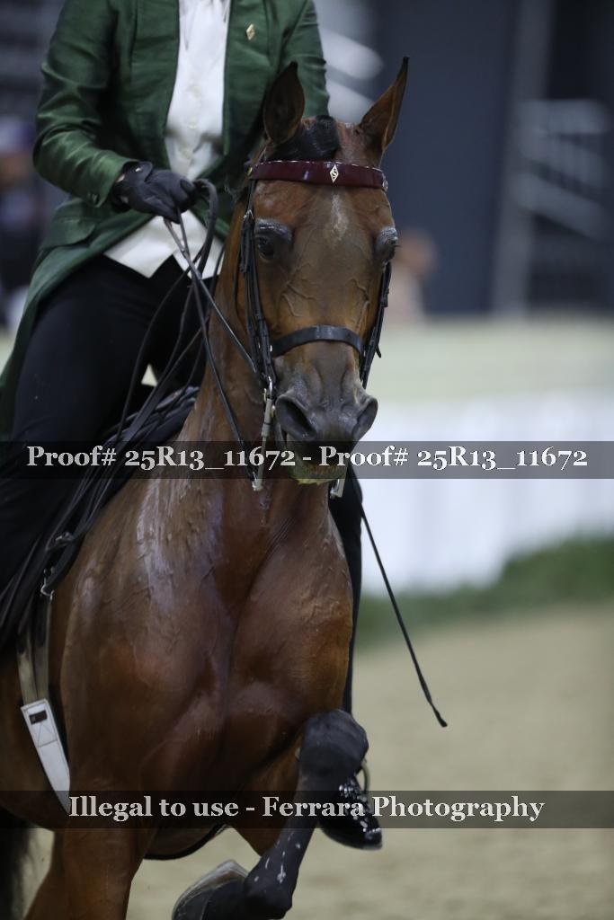 Proof Number 25R13_11672