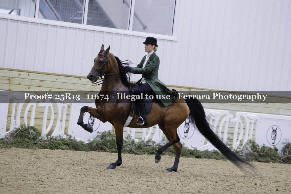 Proof Number 25R13_11674