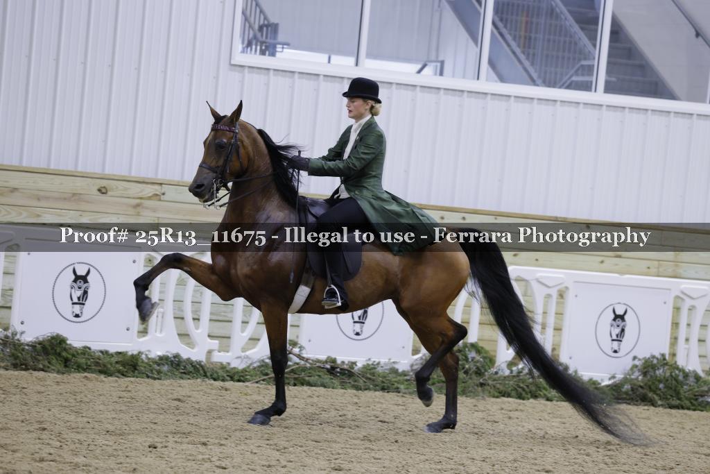 Proof Number 25R13_11675