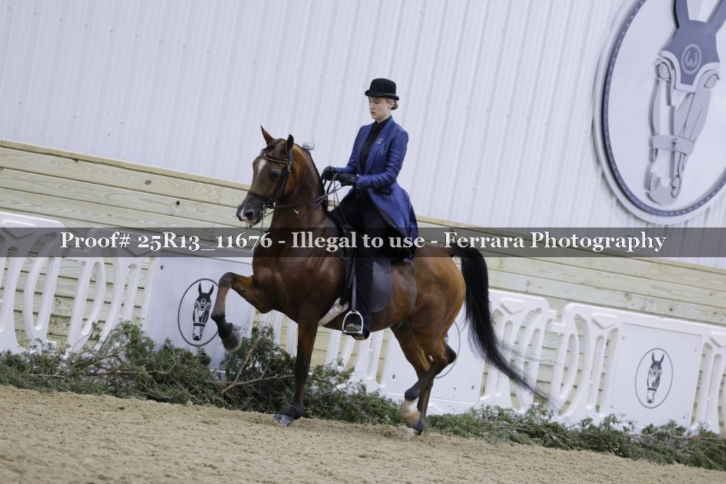 Proof Number 25R13_11676