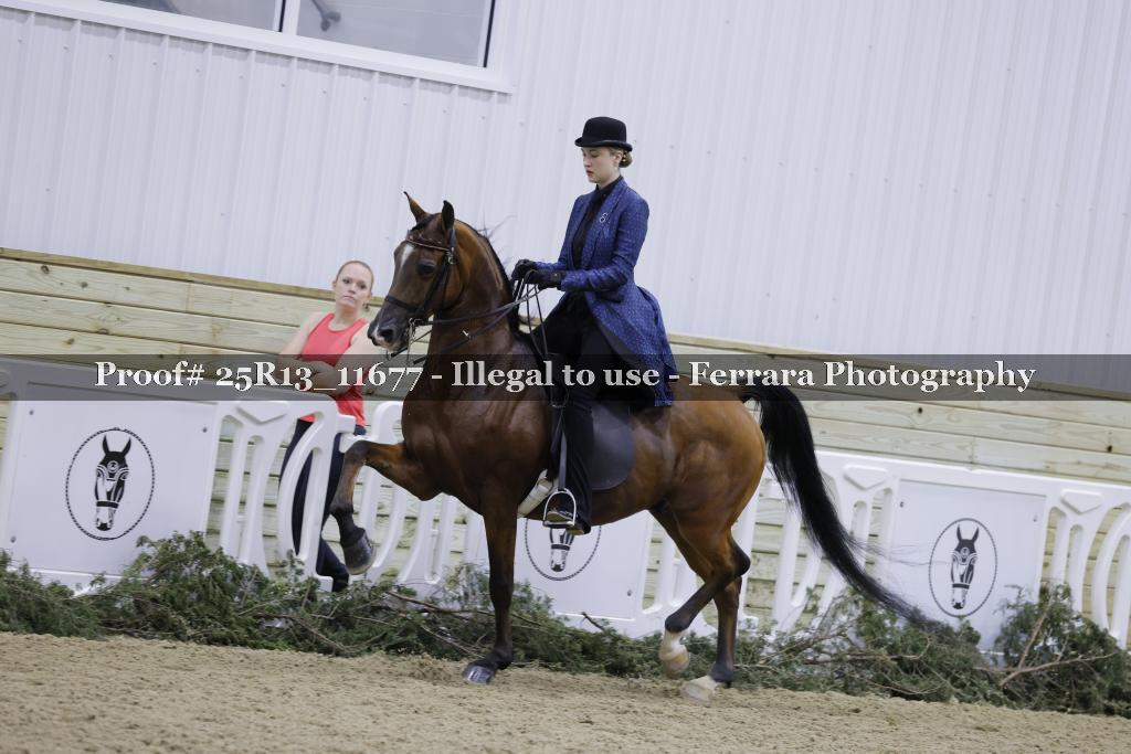 Proof Number 25R13_11677