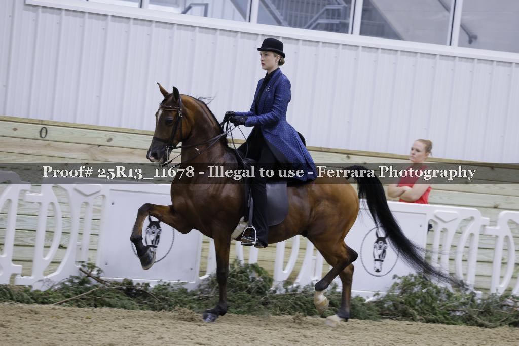 Proof Number 25R13_11678
