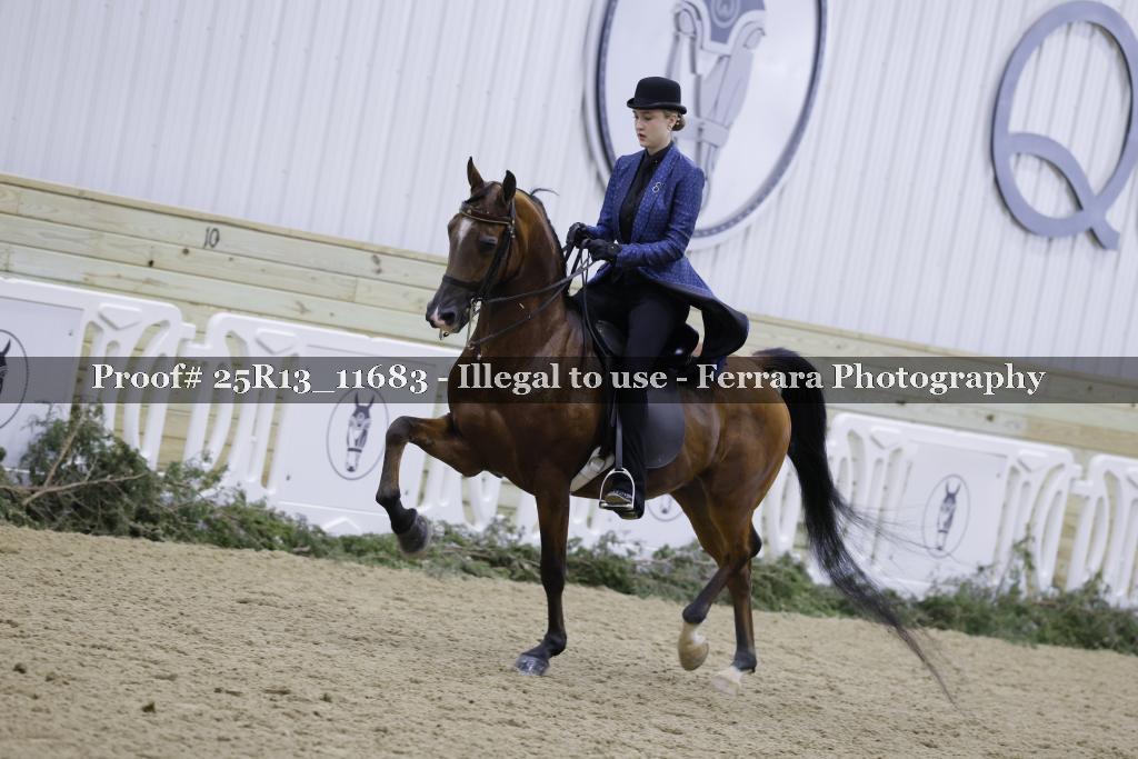 Proof Number 25R13_11683