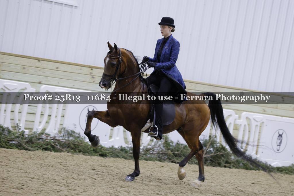 Proof Number 25R13_11684