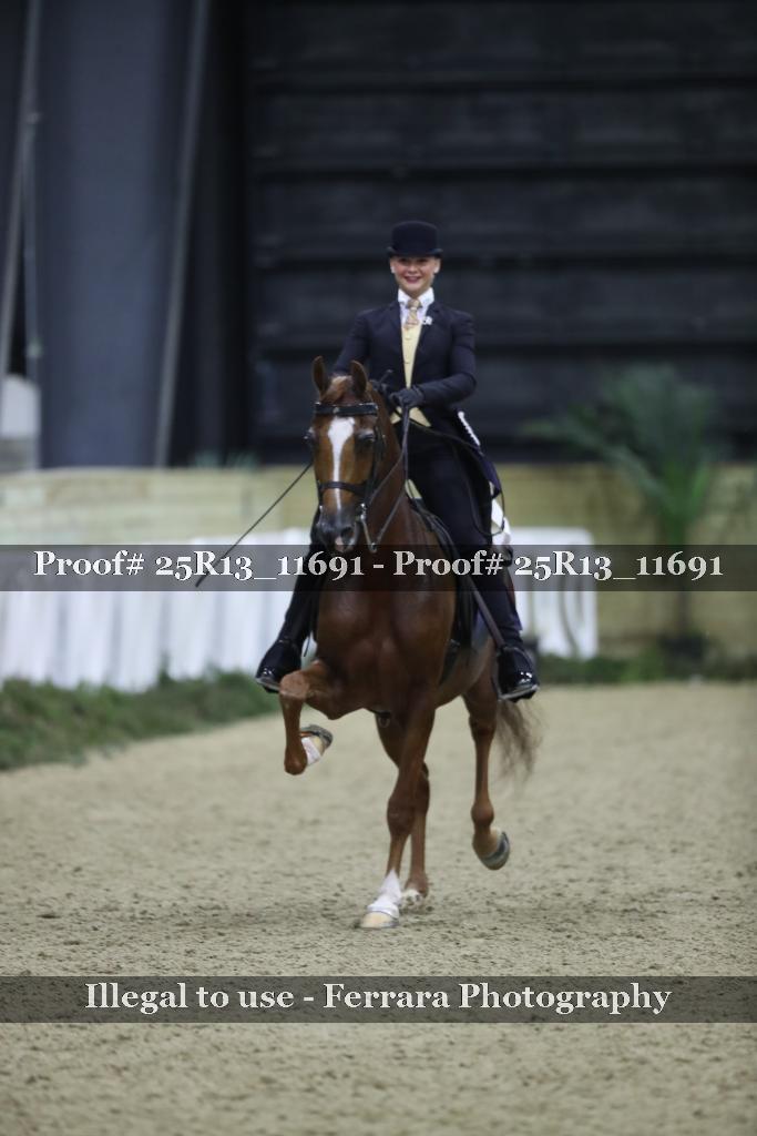 Proof Number 25R13_11691