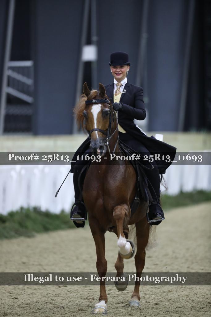 Proof Number 25R13_11693