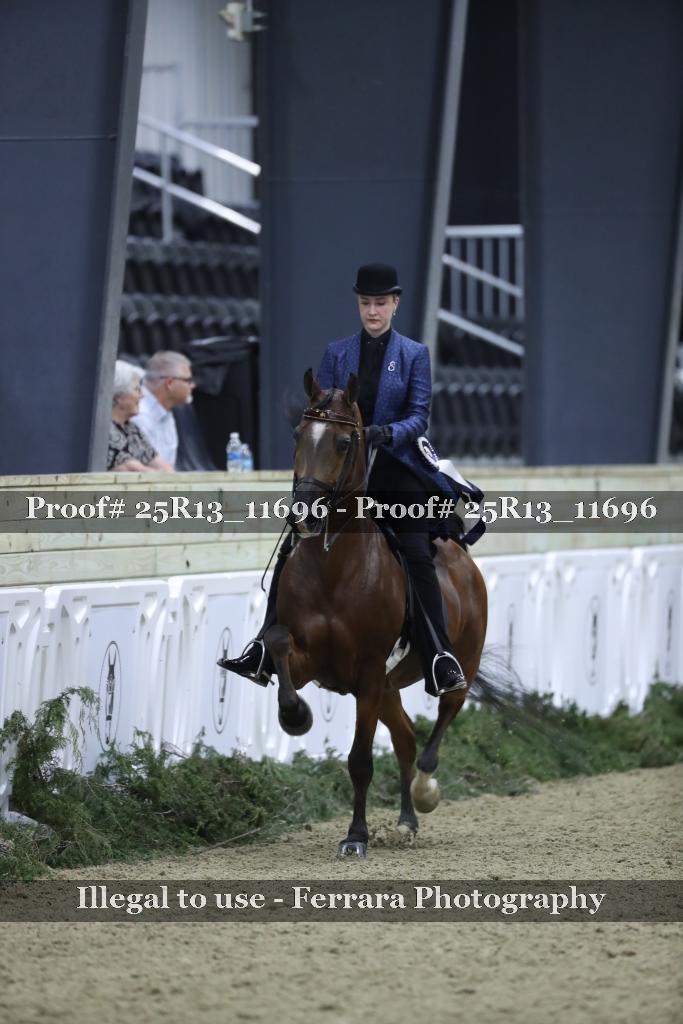 Proof Number 25R13_11696