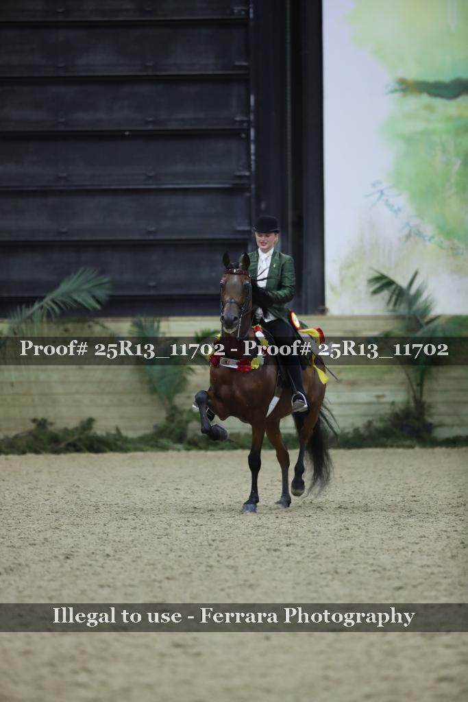 Proof Number 25R13_11702