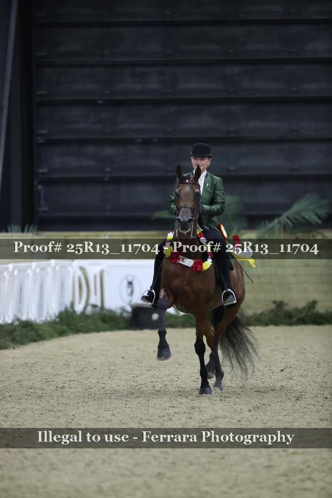 Proof Number 25R13_11704