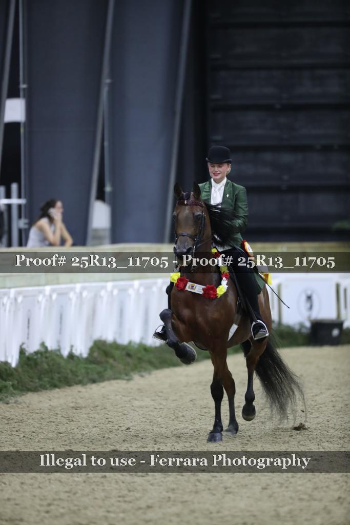 Proof Number 25R13_11705