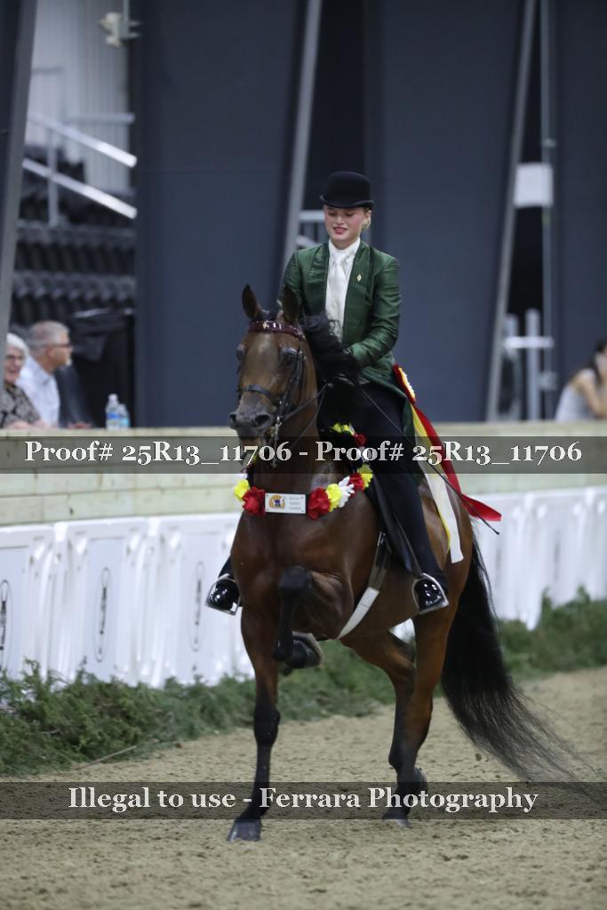 Proof Number 25R13_11706