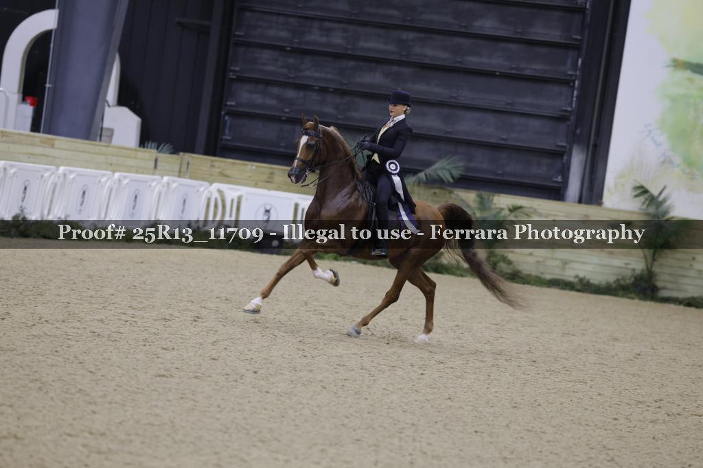 Proof Number 25R13_11709