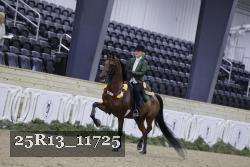 25R13_11725 thumbnail