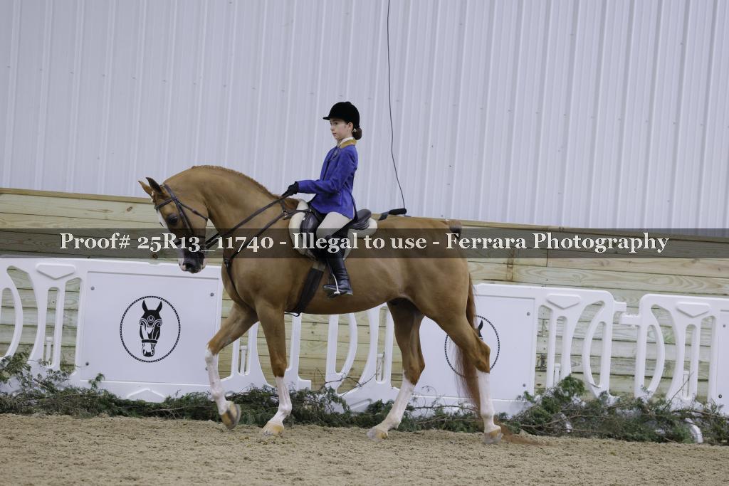Proof Number 25R13_11740