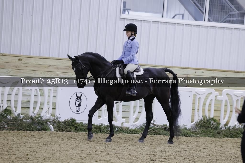 Proof Number 25R13_11741
