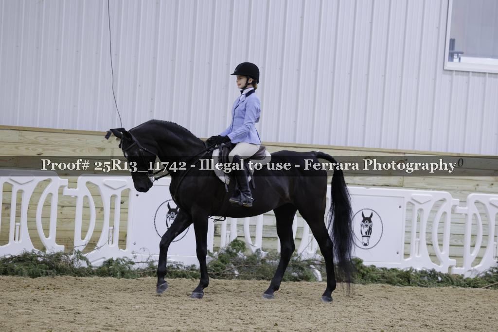 Proof Number 25R13_11742