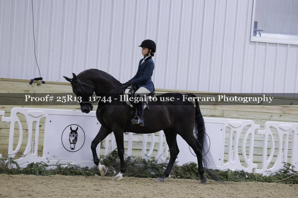 Proof Number 25R13_11744
