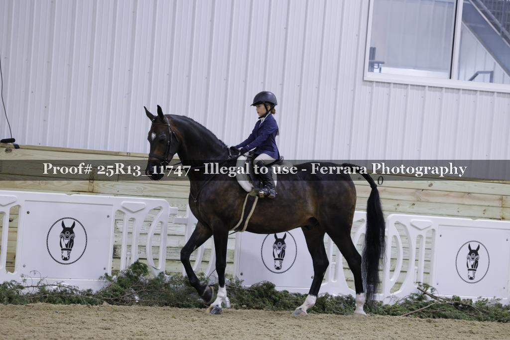 Proof Number 25R13_11747