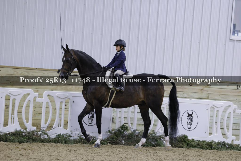 Proof Number 25R13_11748