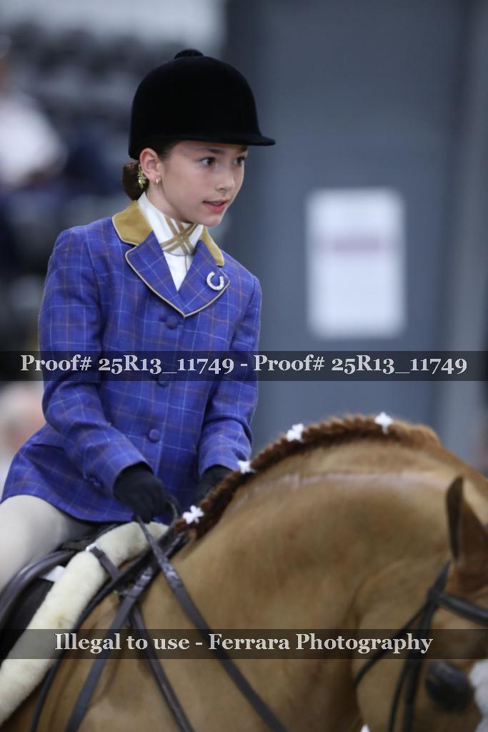 Proof Number 25R13_11749