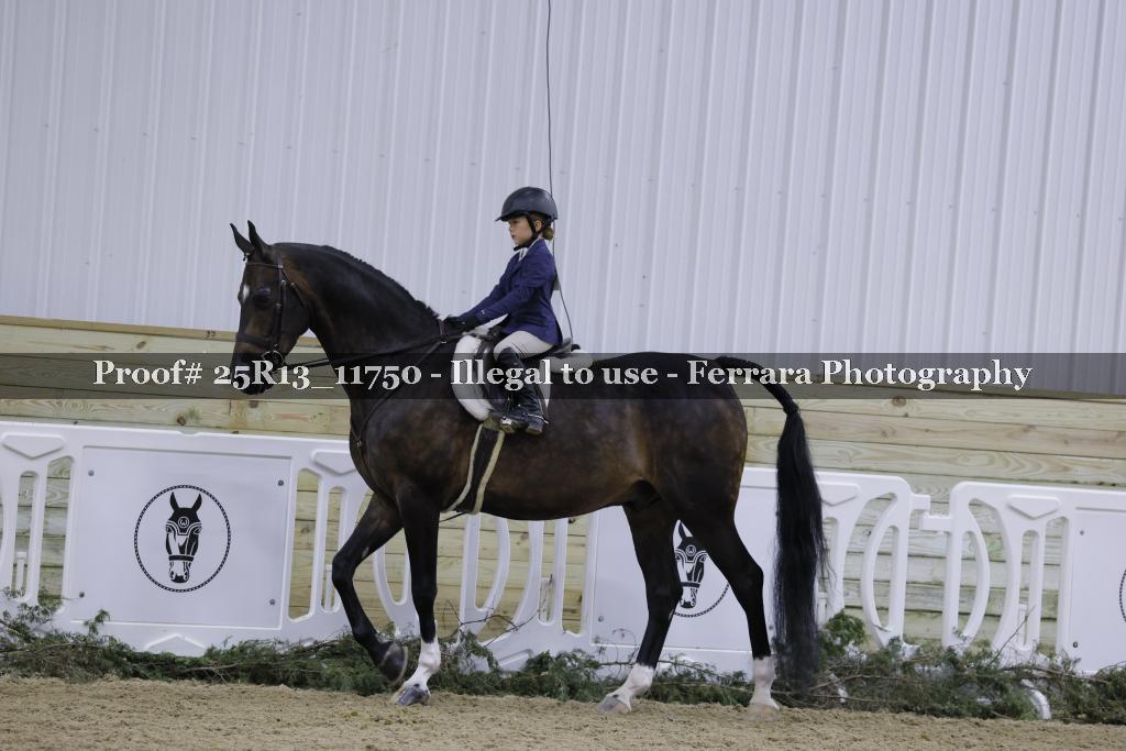 Proof Number 25R13_11750