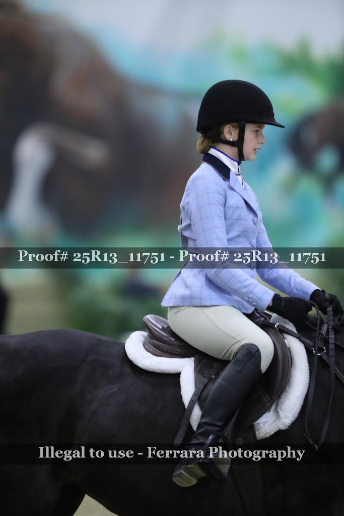 Proof Number 25R13_11751