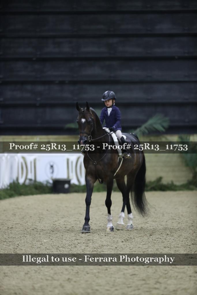 Proof Number 25R13_11753