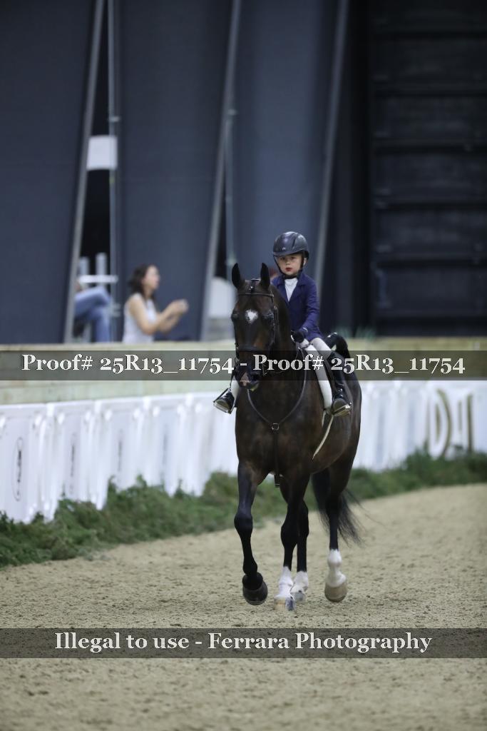 Proof Number 25R13_11754