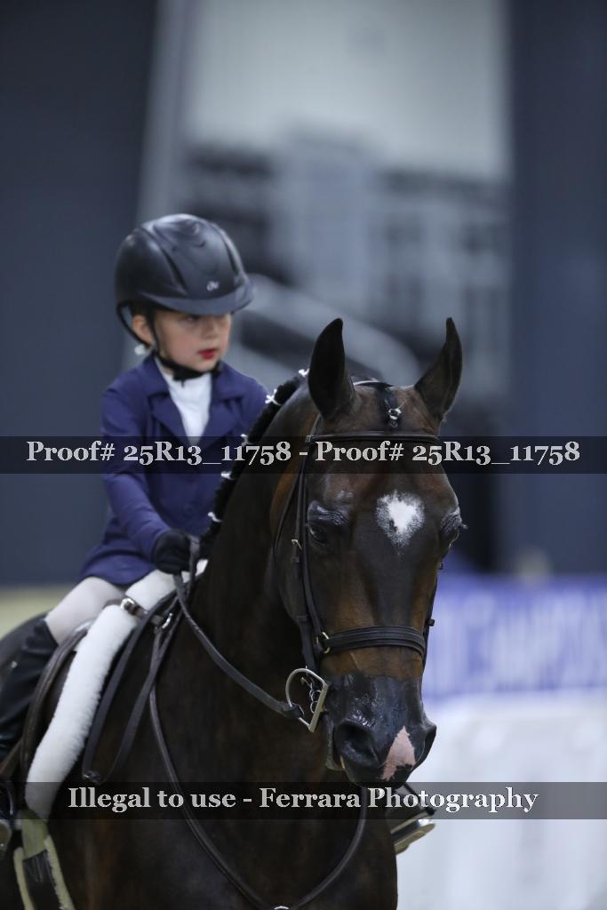 Proof Number 25R13_11758