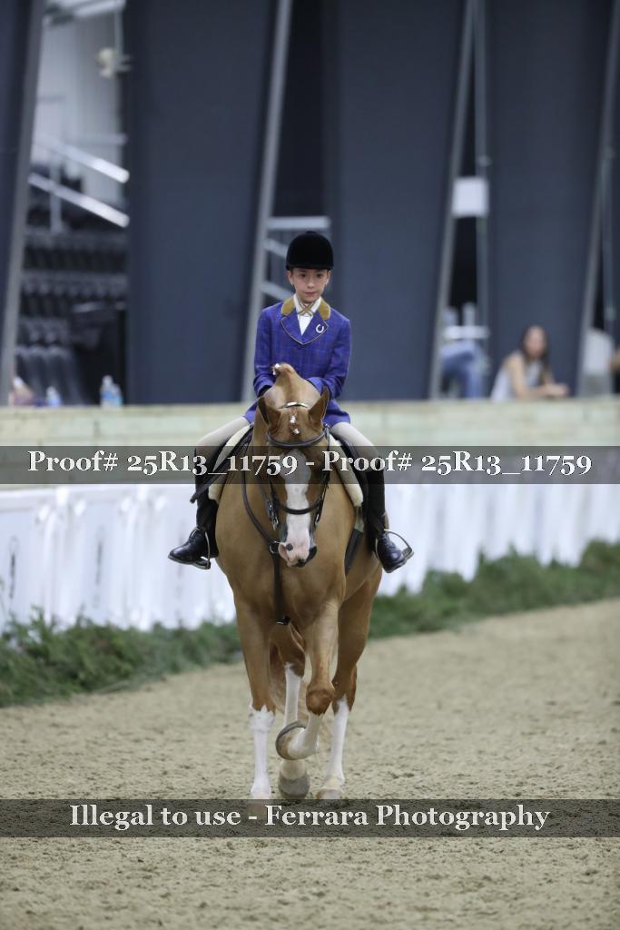 Proof Number 25R13_11759