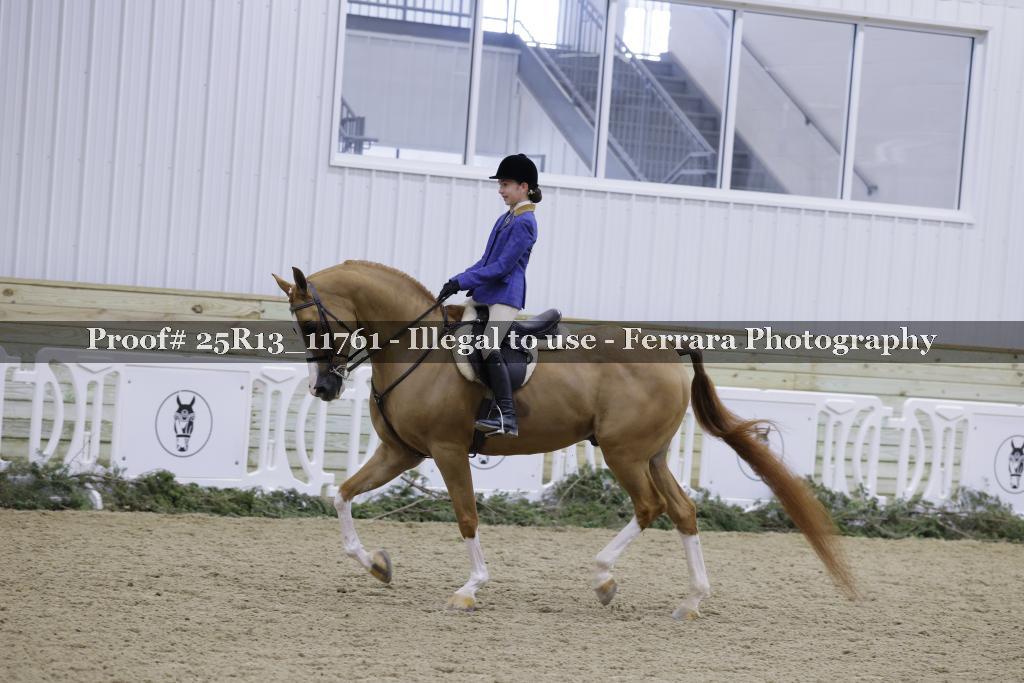 Proof Number 25R13_11761