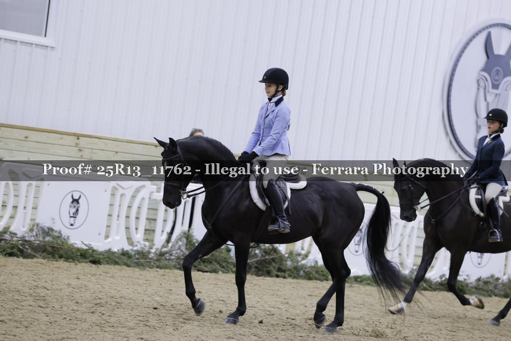 Proof Number 25R13_11762