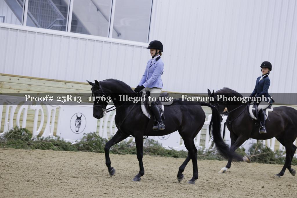 Proof Number 25R13_11763