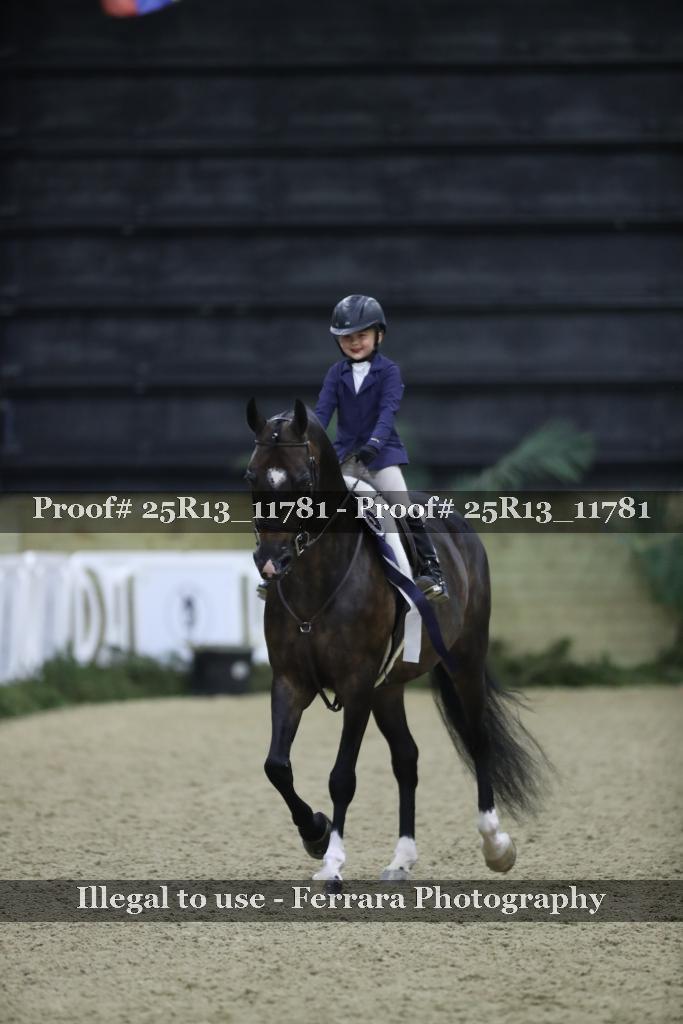 Proof Number 25R13_11781