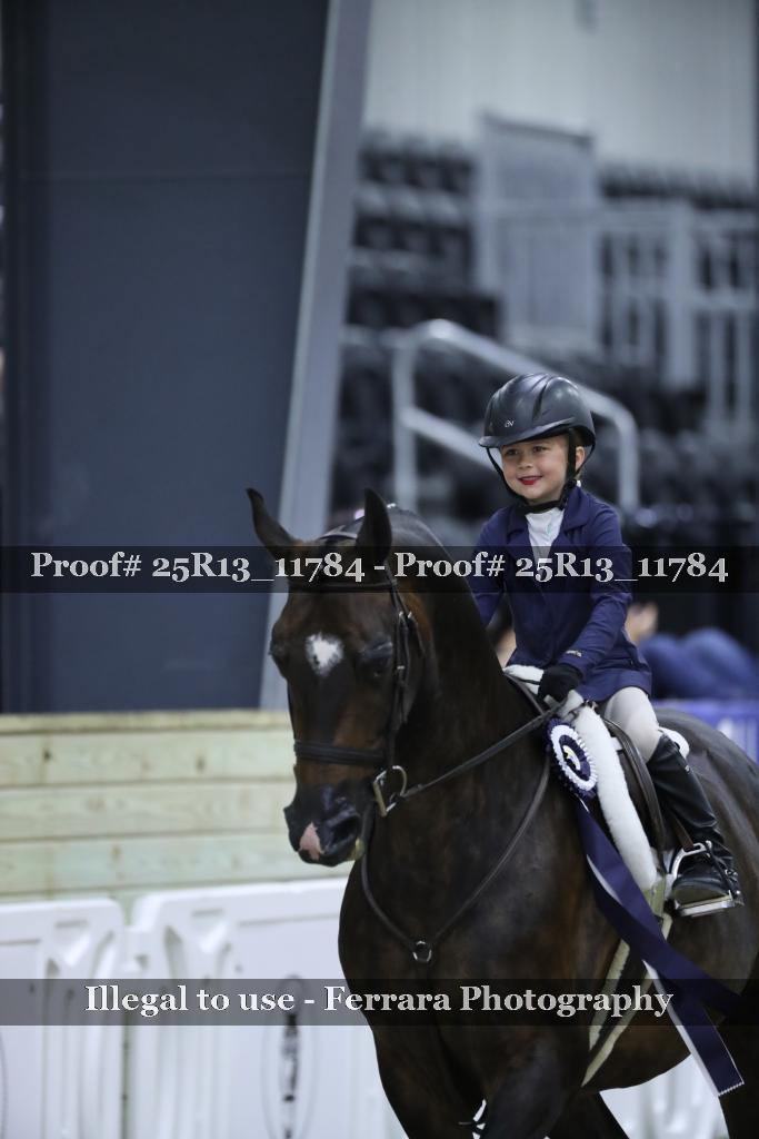 Proof Number 25R13_11784