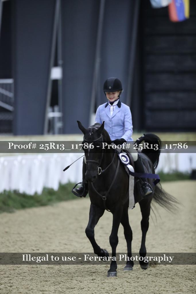 Proof Number 25R13_11786