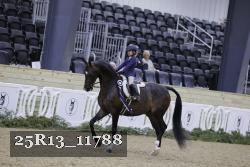 25R13_11788 thumbnail