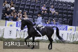 25R13_11801 thumbnail