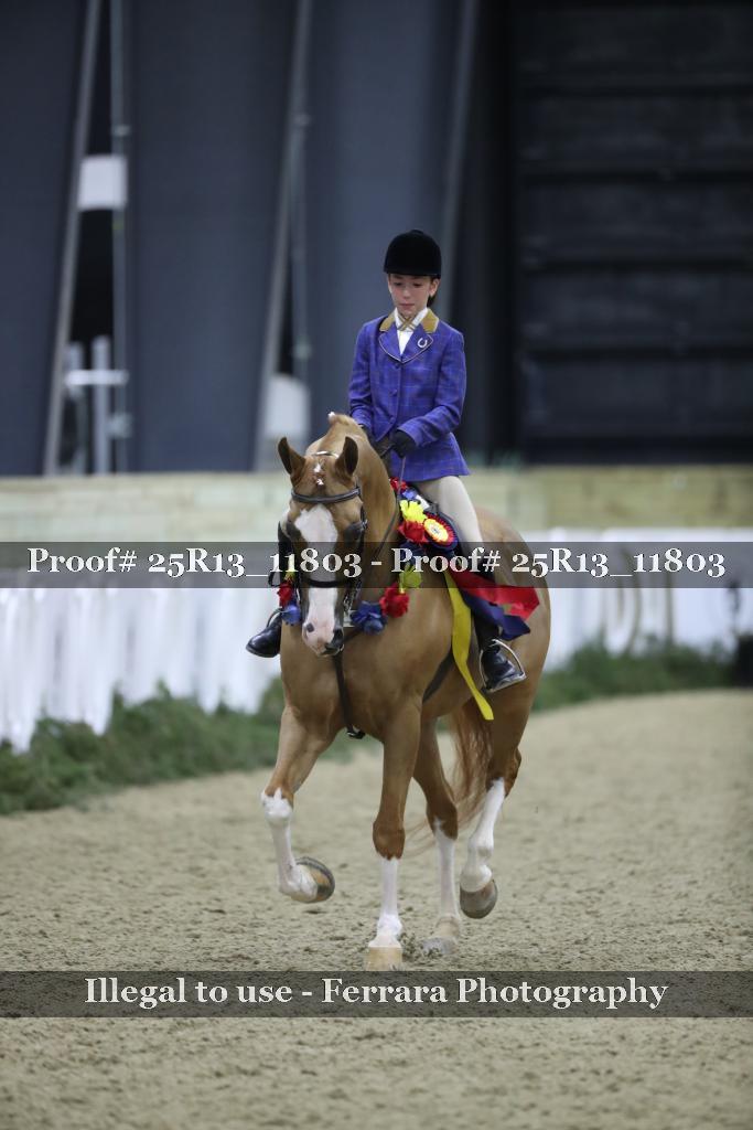 Proof Number 25R13_11803