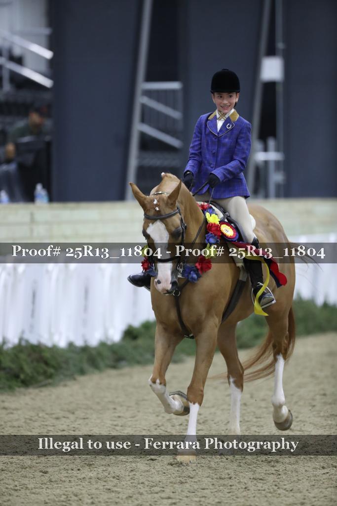Proof Number 25R13_11804