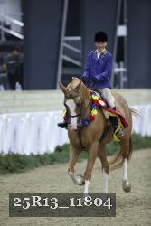25R13_11804 thumbnail