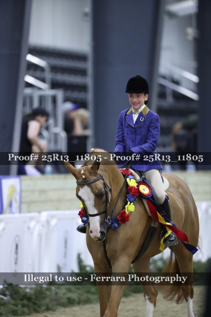 Proof Number 25R13_11805