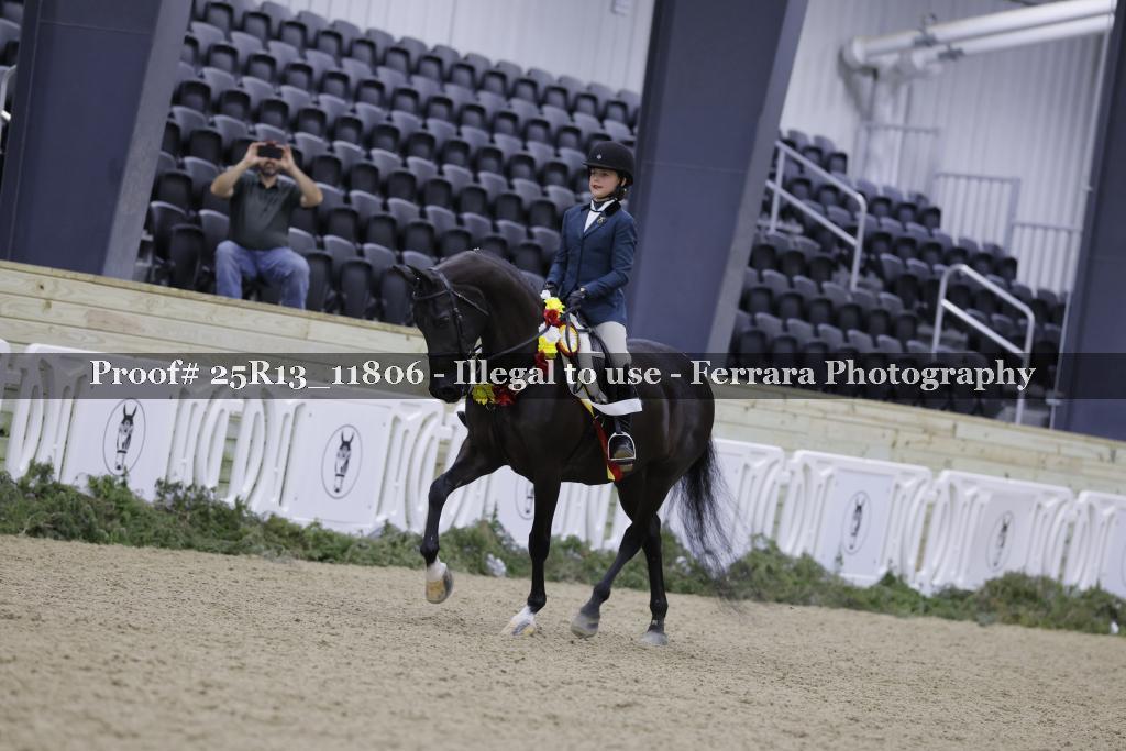 Proof Number 25R13_11806