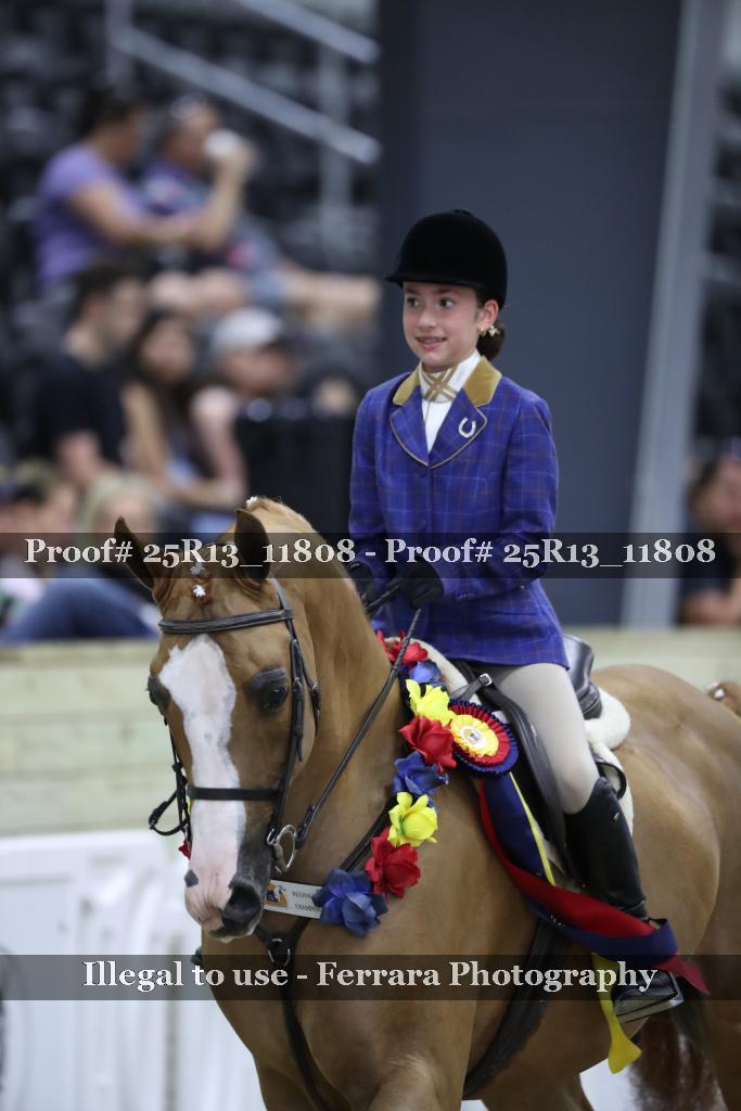 Proof Number 25R13_11808