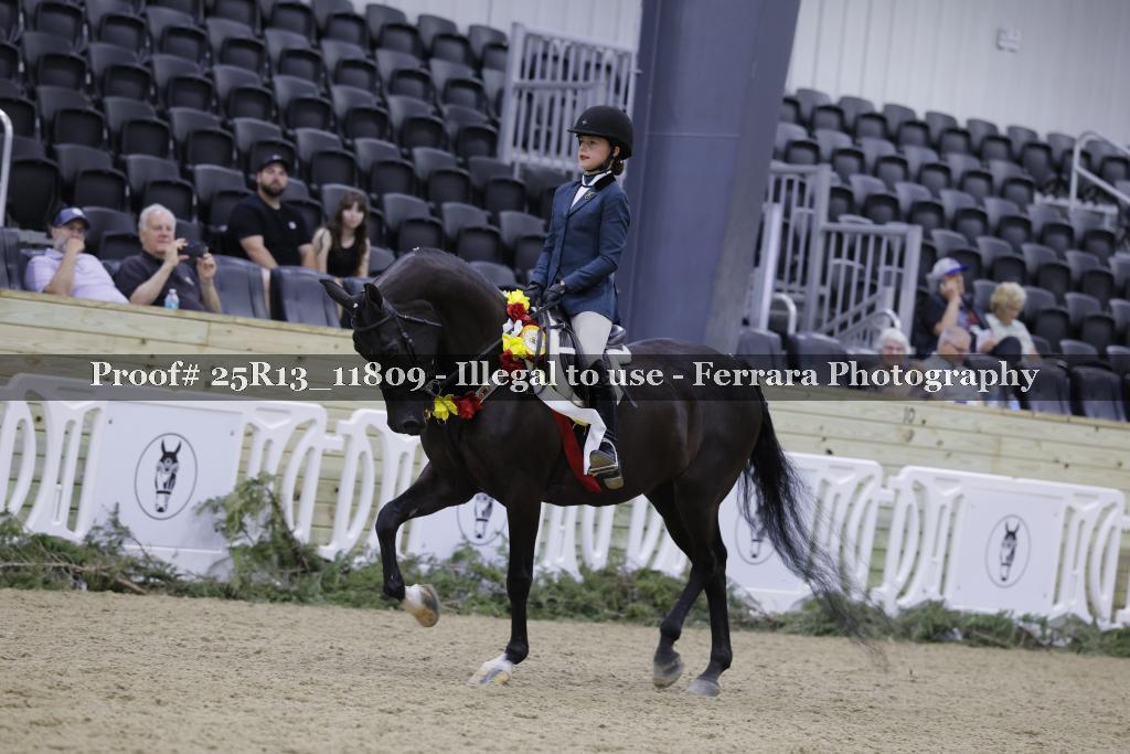 Proof Number 25R13_11809