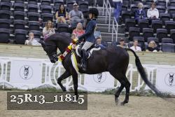 25R13_11815 thumbnail
