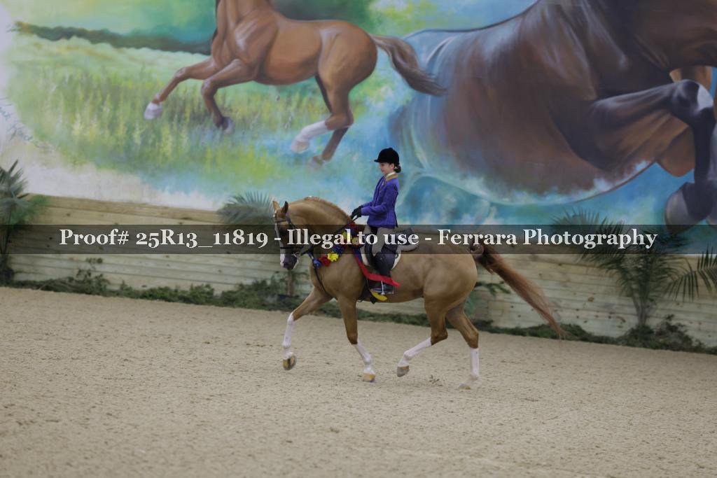 Proof Number 25R13_11819
